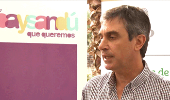 Director de OPP, Álvaro García