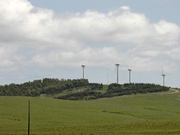 Molinos de viento