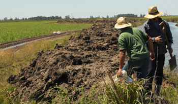 Ministro de Ganadería, Agricultura y Pesca, Tabaré Aguerre