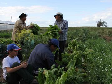 Productores rurales