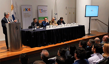 Presentación del informe de ANDE Presentación del informe de ANDE