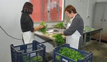 Mujeres en actividad laboral.