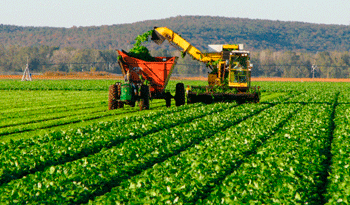 Producción agropecuaria beneficiada con proyectos de desarrollo