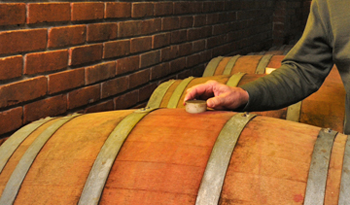 Almacenamiento en bodega