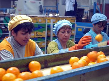 Naranjas