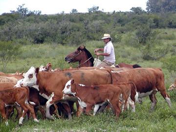 Trabajador rural
