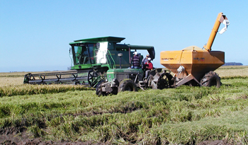 Productos uruguayos para el mundo Productos uruguayos para el mundo