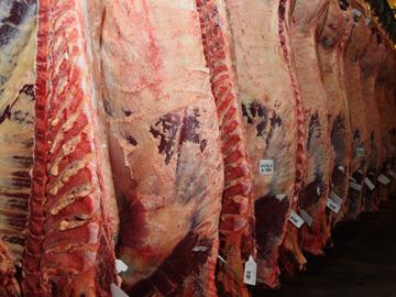 Carne en frigorífico
