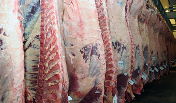 Informe de auditoría de Estados Unidos asegura certificación máxima a carnes de Uruguay