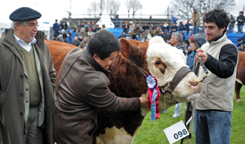 Embajador de China, Dong Xiaojun, entrega premio al gran campeón Hereford en Rural del Prado