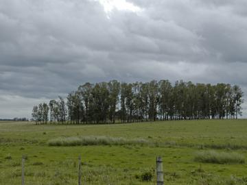 Predio rural