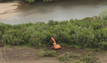 Imagen de maquinaria en plena actividad de tala de bosque nativo en humedales del río Santa Lucía Imagen de maquinaria en plena actividad de tala de bosque nativo en humedales del río Santa Lucía