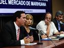 “Control y regulación estatal de mercado de la marihuana”