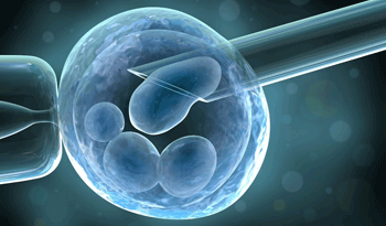 Inseminación artificial Inseminación artificial