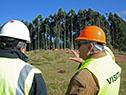 Convenio entre Gobierno y UPM permite que 200 apicultores y 545 ganaderos mejoren su producción