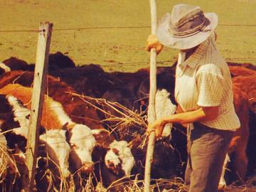 Trabajador rural con ganado