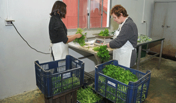 Trabajadoras