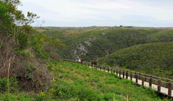 Quebrada de los Cuervos
