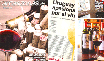 Artículo en el número 17, año 2, de Amaszonas Revista