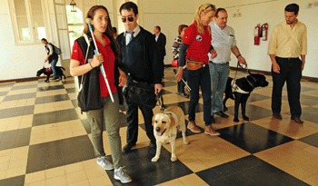 Instructores y perros de asistencia