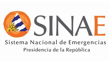 Logo del SINAE