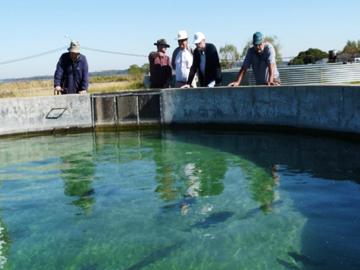 Autoridades del MGAP visitando establecimiento de producción de peces en Salto Autoridades del MGAP visitando establecimiento de producción de peces en Salto
