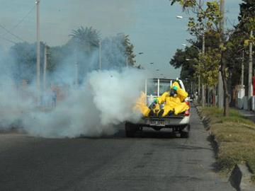 Fumigación, foto IM