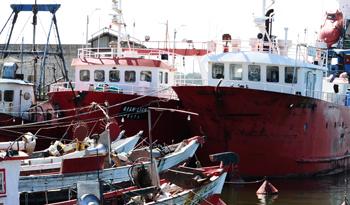 Barco pesquero