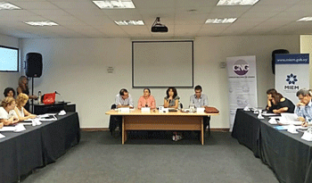 Reunión de la Comisión de Género en Torre de las Comunicaciones