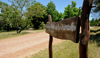 Meseta de Artigas