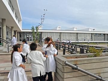 Escolares