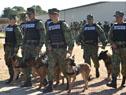 Unidades de apoyo de Prefectura Naval y Fusileros Navales fueron agrupadas en Comando de Infantería de Marina