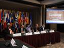 Grupo de Expertos para el Control del Lavado de Activos de la Organización de Estados Americano