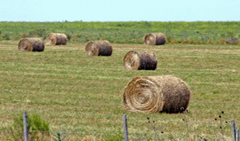 Hay tiempo hasta el 17 de mayo para el primer cierre parcial del Proyecto GFCC