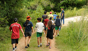 Campamento de Primaria