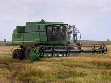 Consechadora de arroz