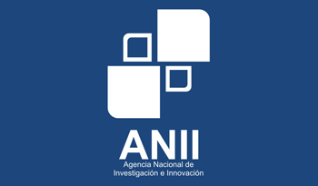 Logotipo de ANII. Logotipo de ANII.