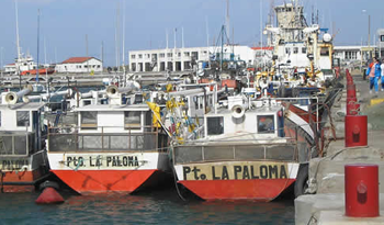 Puerto de La Paloma, Rocha