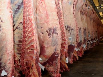 Carne