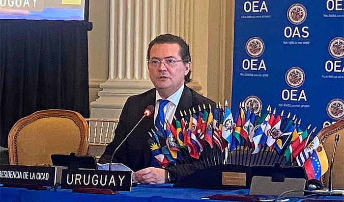 Prosecretario de Presidencia y presidente de la JND, Rodrigo Ferrés durante su exposición ante la Comisión Interamericana para el Control del Abuso de Drogas (Cicad) OEA