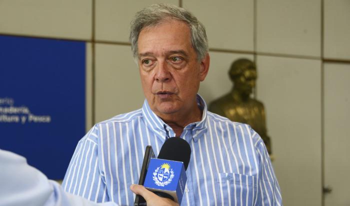 Fernando Mattos