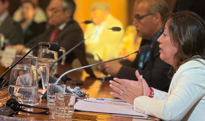 Ministra Fernanda Cardona, en Chile