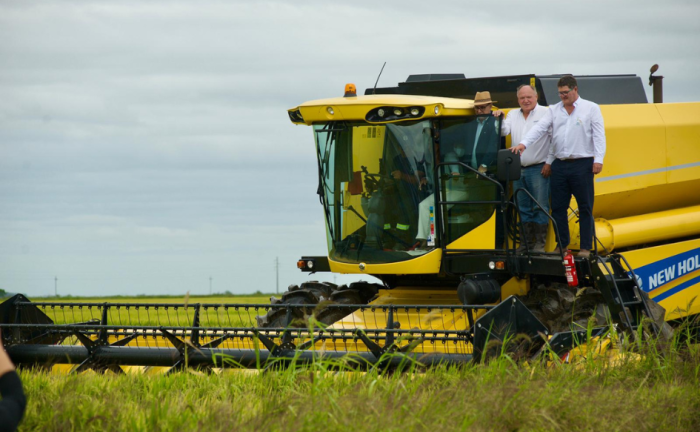 Ministro de Ganadería, Agricultura y Pesca, Alfredo Fratti, arriba de una cosechadora de arroz