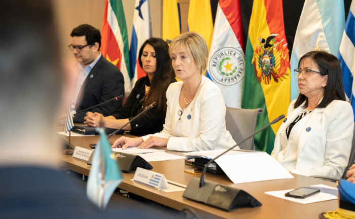 Subsecretaria del Ministerio del Interior, Gabriela Valverde, habla en la apertura del Foro Especializado Migratorio del Mercosur. Detrás, las banderas de los países del bloque