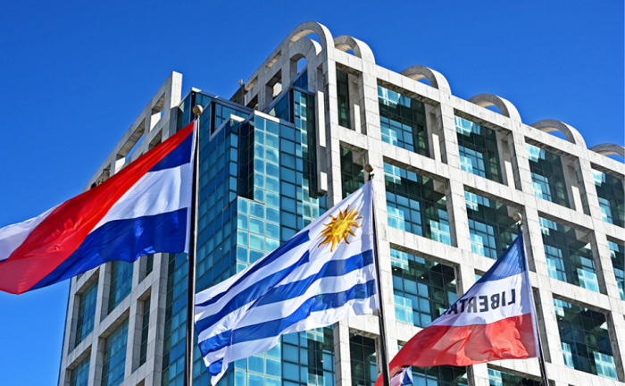 Pabellones patrios en primer plano con la Torre Ejecutiva de fondo