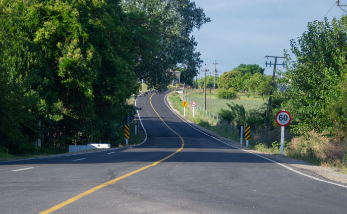 Curva en el camino Lloveras rodeada de árboles