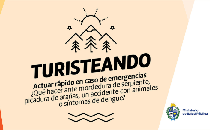 Dibujo de un sol saliendo detrás de unos árboles. Debajo, la leyenda "Turisteando" y el logo del Ministerio de Salud Pública