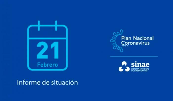 Informe del Sinae