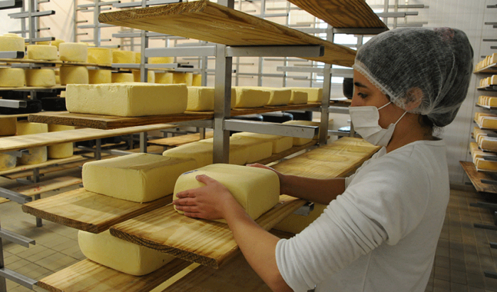 Productora de quesos