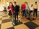 Gobierno, empresarios y trabajadores promueven capacitación de instructores de perros guías Gobierno, empresarios y trabajadores promueven capacitación de instructores de perros guías